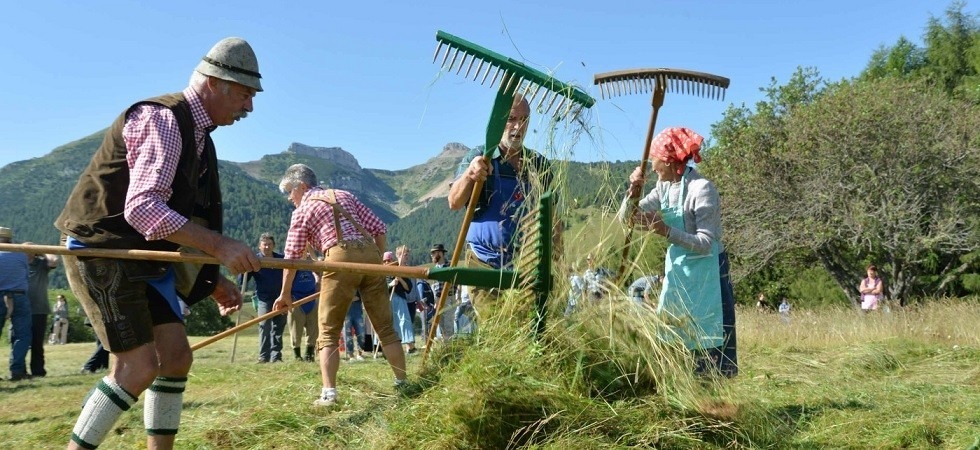 Trattori gokart, laboratori e la gara di fienagione